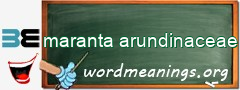 WordMeaning blackboard for maranta arundinaceae
